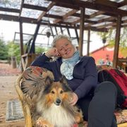 comment.user?.profileImg