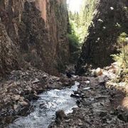 comment.user?.profileImg