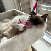 comment.user?.profileImg