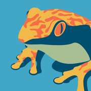 comment.user?.profileImg