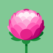 comment.user?.profileImg