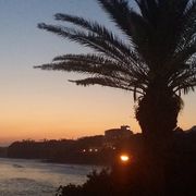 comment.user?.profileImg