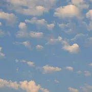 comment.user?.profileImg