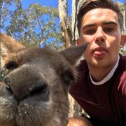 comment.user?.profileImg