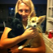 comment.user?.profileImg