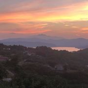 comment.user?.profileImg