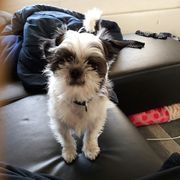 comment.user?.profileImg