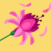 comment.user?.profileImg