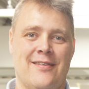 Opgaveejer for løst opgaver online