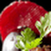 comment.user?.profileImg