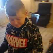 Opgaveejer for løst opgaver online