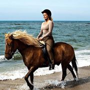 Opgaveejer for løst opgaver online