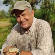 comment.user?.profileImg