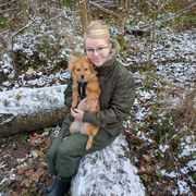 comment.user?.profileImg