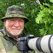 comment.user?.profileImg