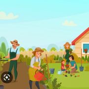 comment.user?.profileImg