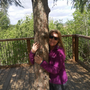 comment.user?.profileImg