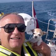 comment.user?.profileImg