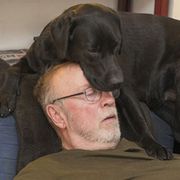 comment.user?.profileImg