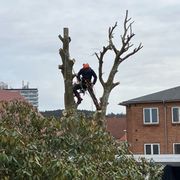 Opgaveejer for løst opgaver online