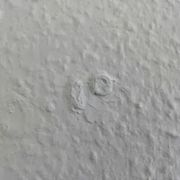 comment.user?.profileImg