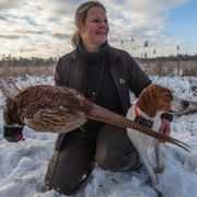 comment.user?.profileImg