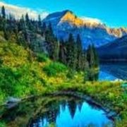 comment.user?.profileImg