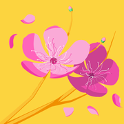 comment.user?.profileImg