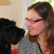 comment.user?.profileImg