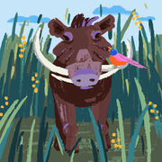 comment.user?.profileImg