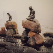 comment.user?.profileImg