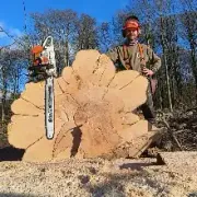 Opgaveejer for løst opgaver online