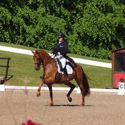 comment.user?.profileImg