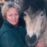 comment.user?.profileImg