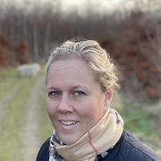 comment.user?.profileImg