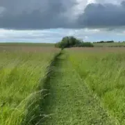 Opgaveejer for løst opgaver online