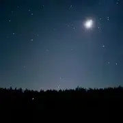 comment.user?.profileImg