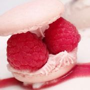 comment.user?.profileImg