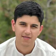 Opgaveejer for løst opgaver online