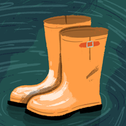 comment.user?.profileImg