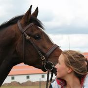 comment.user?.profileImg