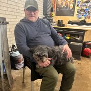 comment.user?.profileImg