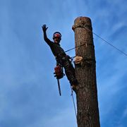 Opgaveejer for løst opgaver online