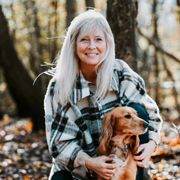 comment.user?.profileImg