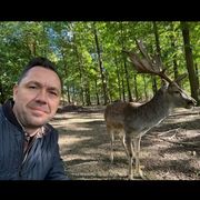 comment.user?.profileImg