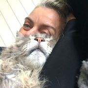 comment.user?.profileImg