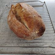 comment.user?.profileImg