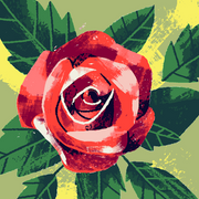 comment.user?.profileImg