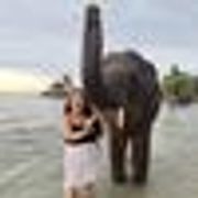 comment.user?.profileImg