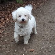 comment.user?.profileImg